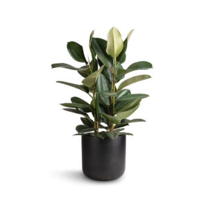 Large Ceramic Porcelain Flower Pot