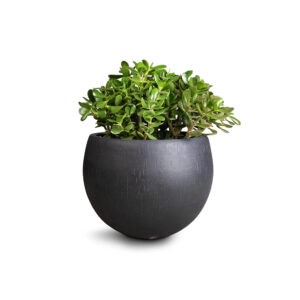 Advi Decorative Table Top Flower Pot Metal Plant